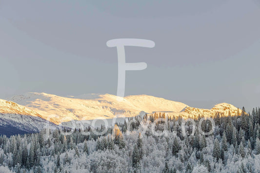 Kangsten i vinterlys – sett fra Korgen