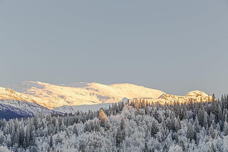 Kangsten in winter light – seen from Korgen