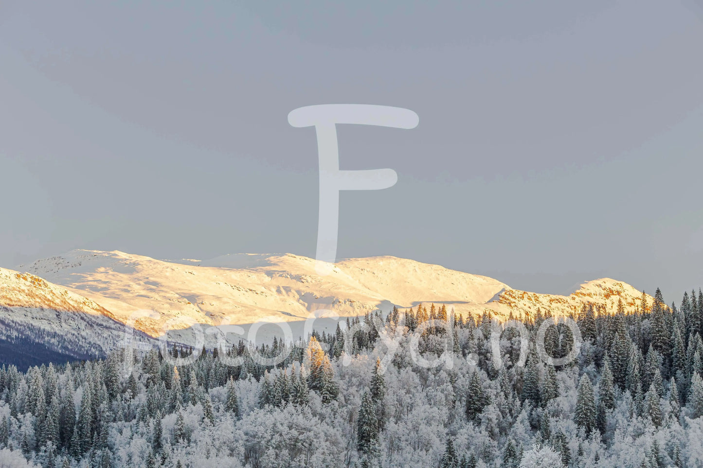 Kangsten i vinterlys – sett fra Korgen