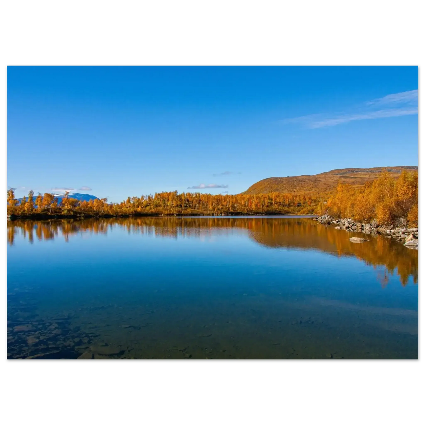 0090d9c0-dfdd-4f30-800b-bf6a4601e0c9