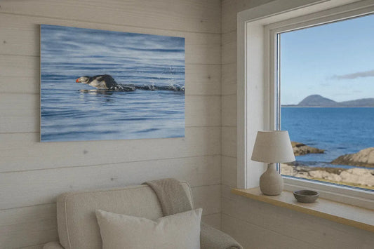 Lundefugl Nordisk interiør med naturmotiv – Fotografisk kunst for ro og stil