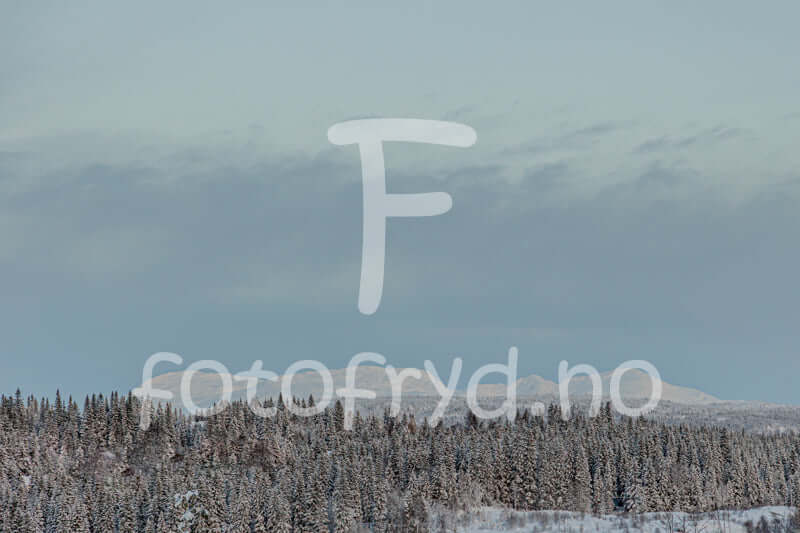 Skandinavisk fotokunst til stue | Vinterlandskap