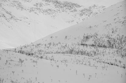 Vinterlandskapets ro – minimalistisk skjønnhet