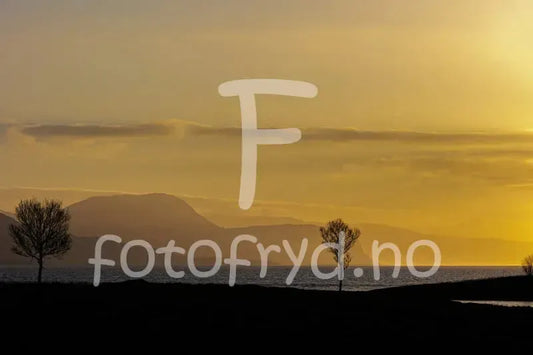 Tjøtta-Gyldent øyeblikk Fotofryd.no