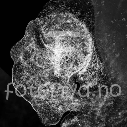  Tidløs eleganse i svart-hvitt