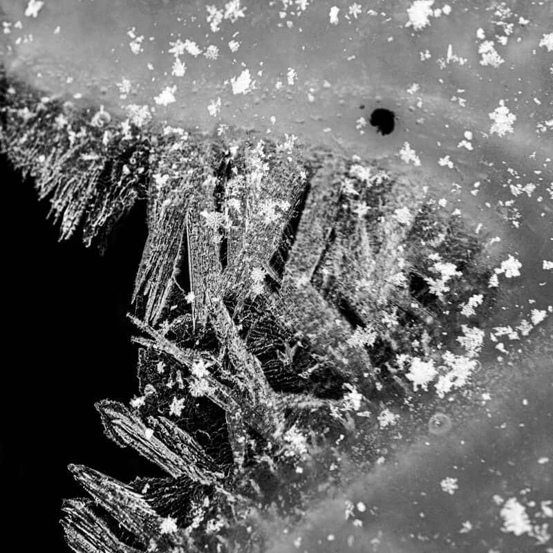 Iskrystallenes magi i svart-hvitt