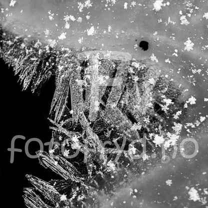 Iskrystallenes magi i svart-hvitt