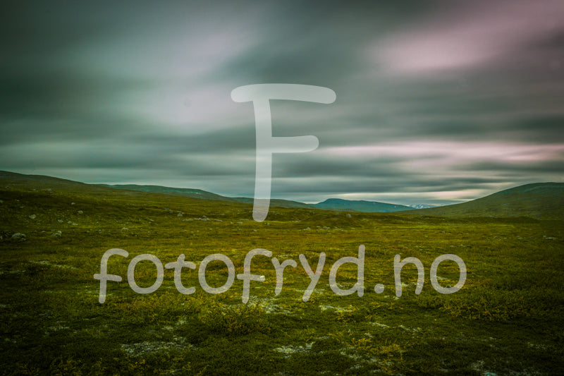 Saltfjellet – Grønne vidder under dramatisk himmel