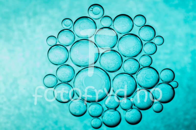 Minimalistisk interiør med kunst, blomster og bøker