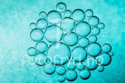 Minimalistisk interiør med kunst, blomster og bøker