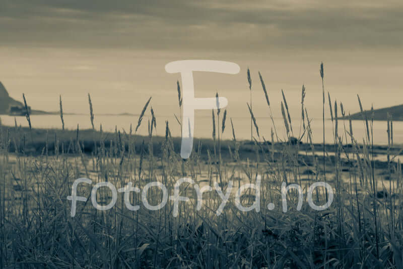 Naturens Ro – Fotografier fra Fjæra på Nesnastranda