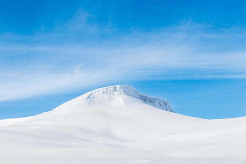 Fjellro – et fotografi som bringer naturens stillhet inn i stua.
