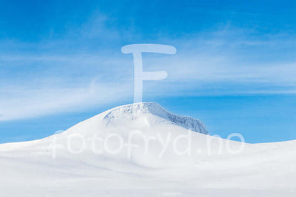 Fjellro – et fotografi som bringer naturens stillhet inn i stua.