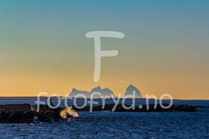 Træna – Fotokunst som skaper stemning