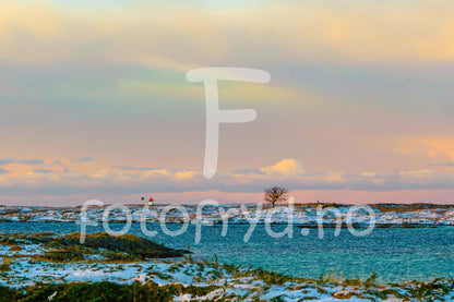 Stille kystlandskap i vinterlys – nordisk ro ved havet, med enslig tre og fyrtårn i en rolig atmosfære.