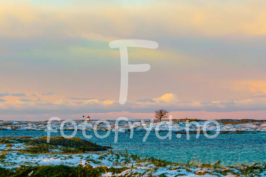 Stille kystlandskap i vinterlys – nordisk ro ved havet, med enslig tre og fyrtårn i en rolig atmosfære.