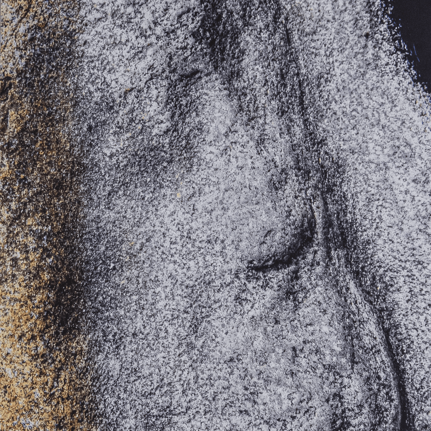 Steinkunst Bildevegg