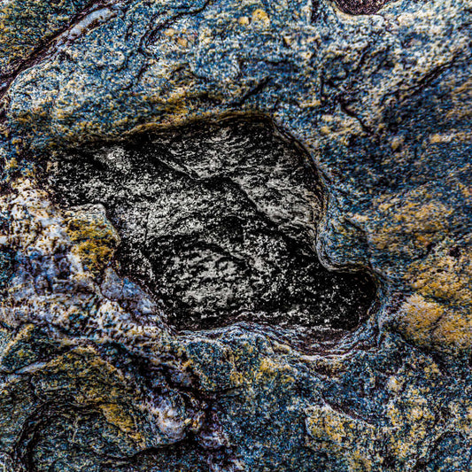 Teatralsk naturkunst – Eksklusivt veggbilde i blått og gull