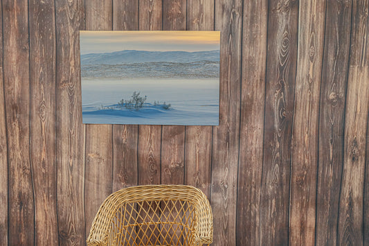 Vinterens stillhet – Nordisk minimalisme-Raudvatnet