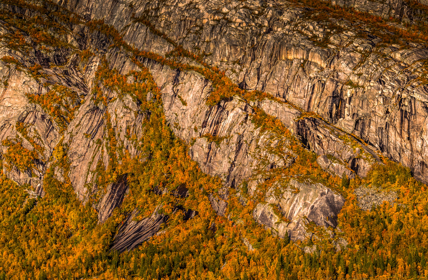 Flostrand-mikkeltinden