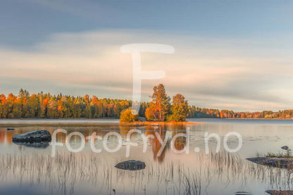 Høst i Nydalen - et stille vannspeil med trær i varme høstfarger og myk himmel.