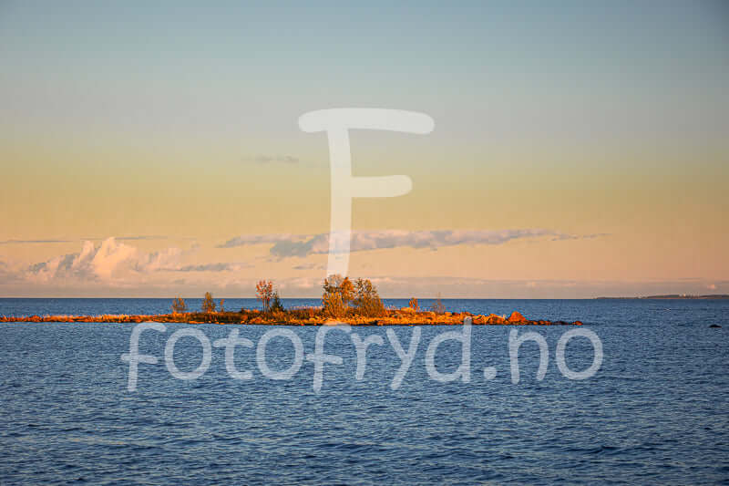 Høst på Holmön - vakkert veggbilde av øy med gyllent lys og åpent hav.