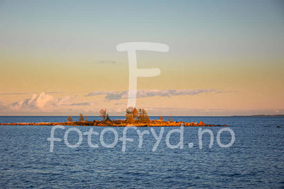 Høst på Holmön - vakkert veggbilde av øy med gyllent lys og åpent hav.