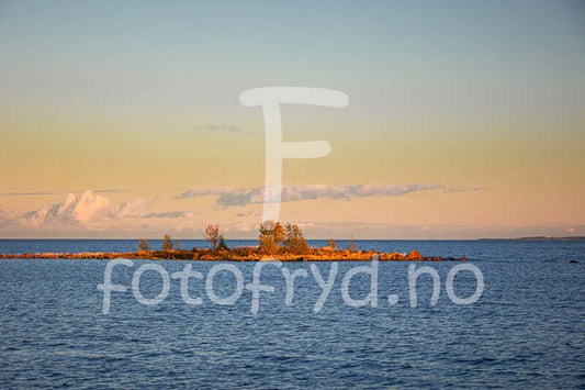 Høst på Holmön - vakkert veggbilde av øy med gyllent lys og åpent hav.