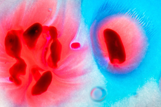 Minimalist Abstract Art Poster – Red and Blue Liquid Contrast 