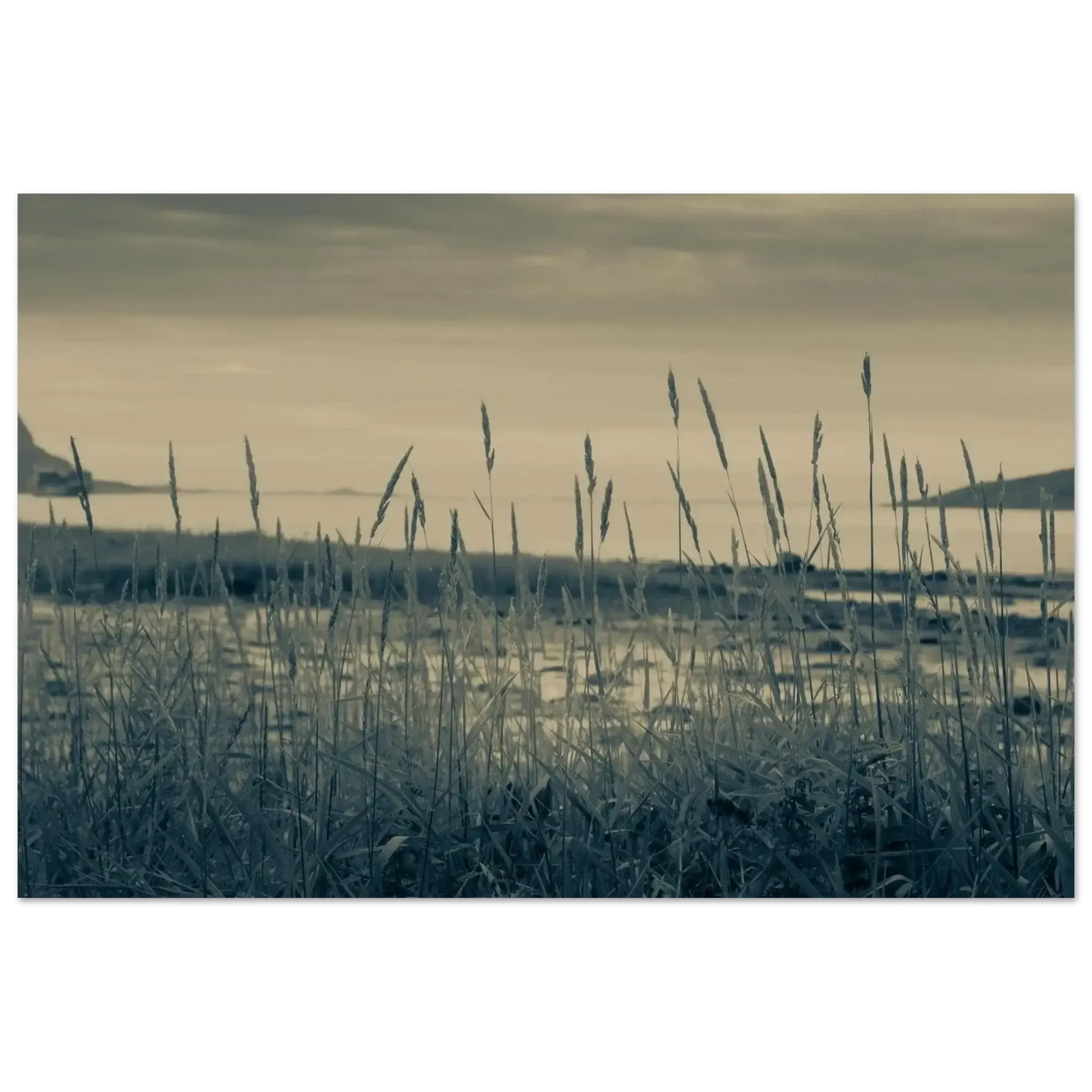 d34f1468-6056-40ce-9848-182cfca9fc5f