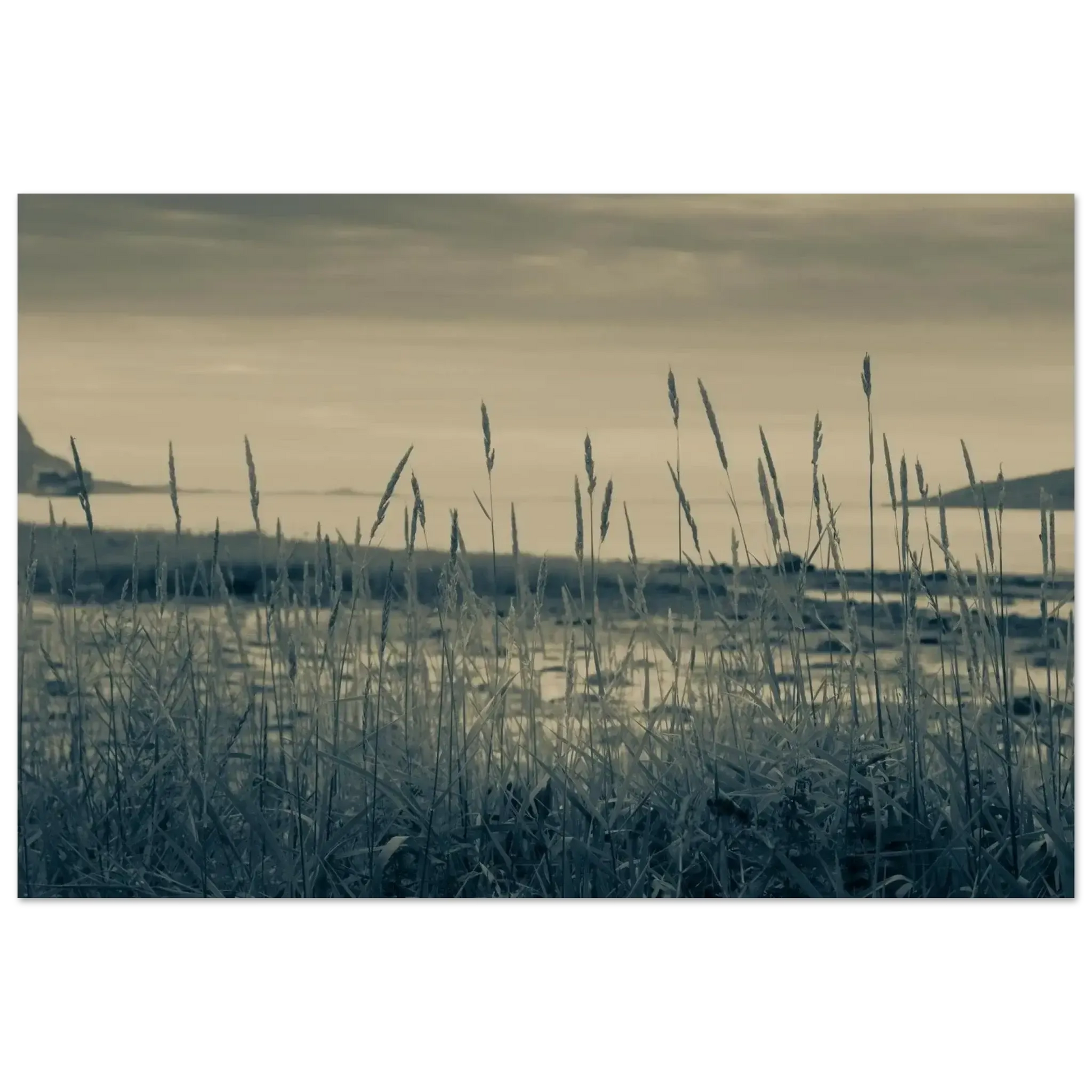 d34f1468-6056-40ce-9848-182cfca9fc5f