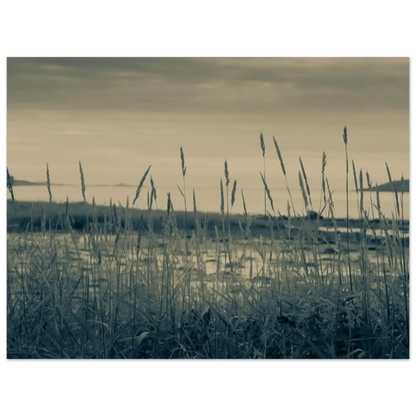 9784eefc-764d-4df5-84a0-c0fb118969f5