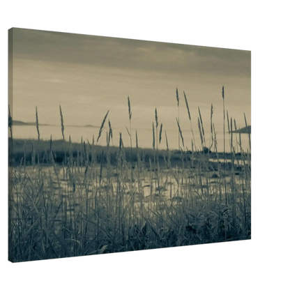 a6bbedb1-c7ed-4cc1-9f02-1dd44c323f77