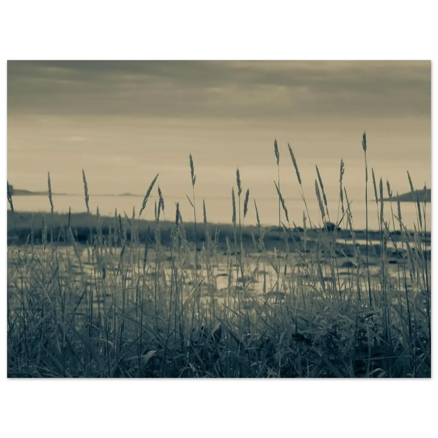 0eda1954-94c7-4b1e-8ba1-108f5a8b22f2