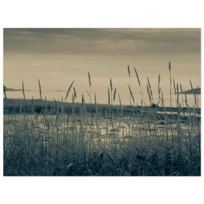 0eda1954-94c7-4b1e-8ba1-108f5a8b22f2