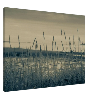 e6e176a5-f029-4359-8cc7-66ed65aa9698