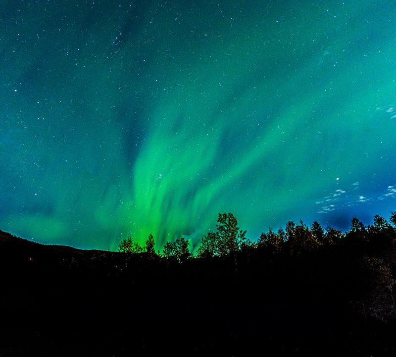 Nordlysmotiv fra Rauvatnet - Fotofryd.no