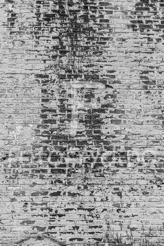 Rå murvegg i sort-hvitt