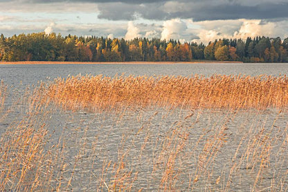 Siv ved Nydalasjön – veggbilde