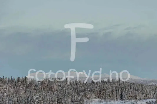 Skandinavisk fotokunst til stue | Vinterlandskap