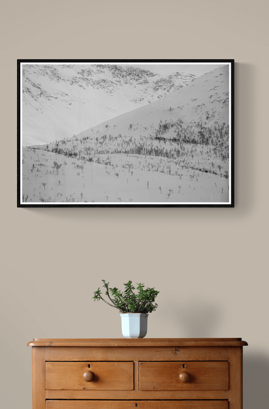 Vinterlandskapets ro – minimalistisk skjønnhet