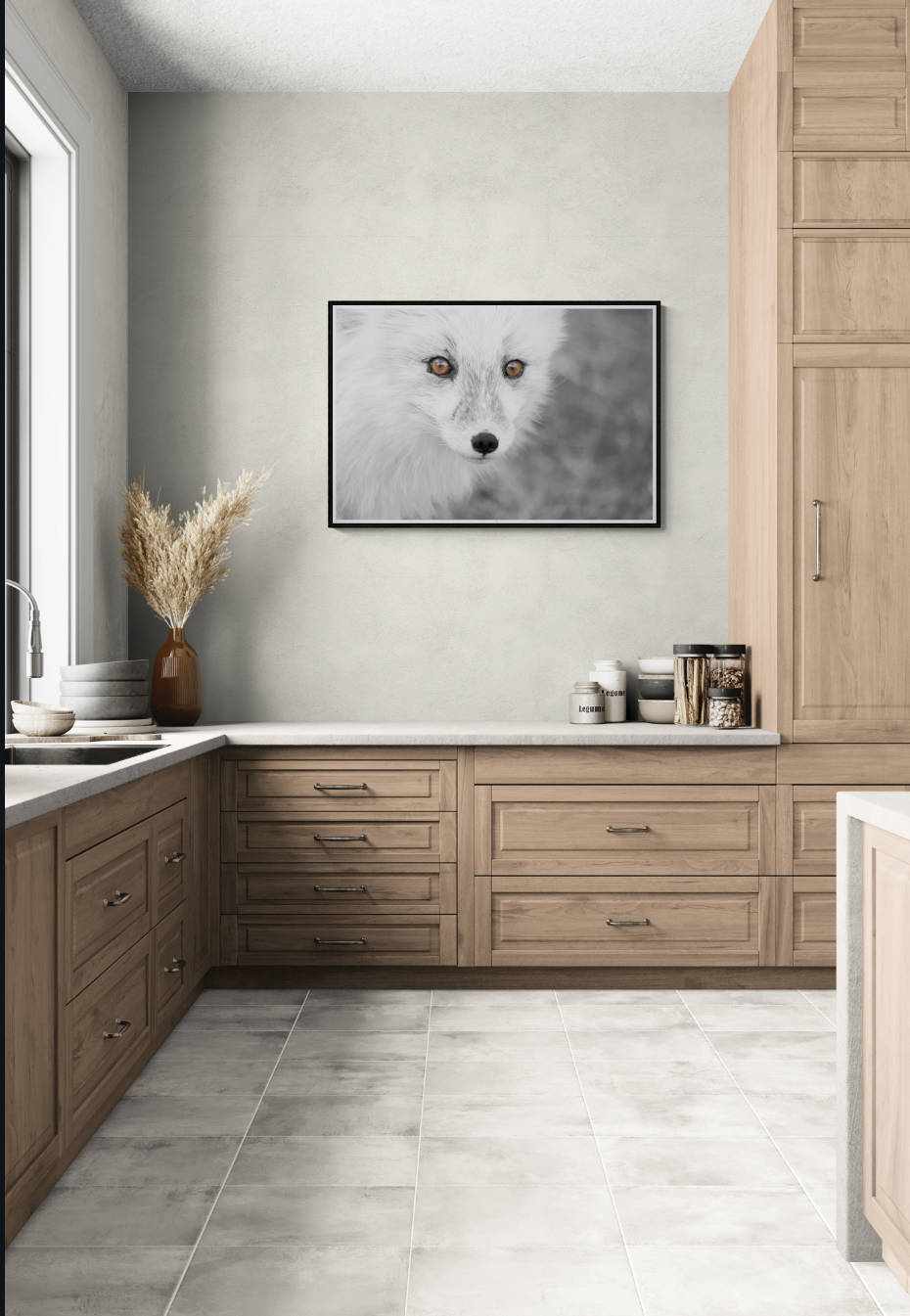 Fjellrevens blikk – Villmarkens skjønnhet