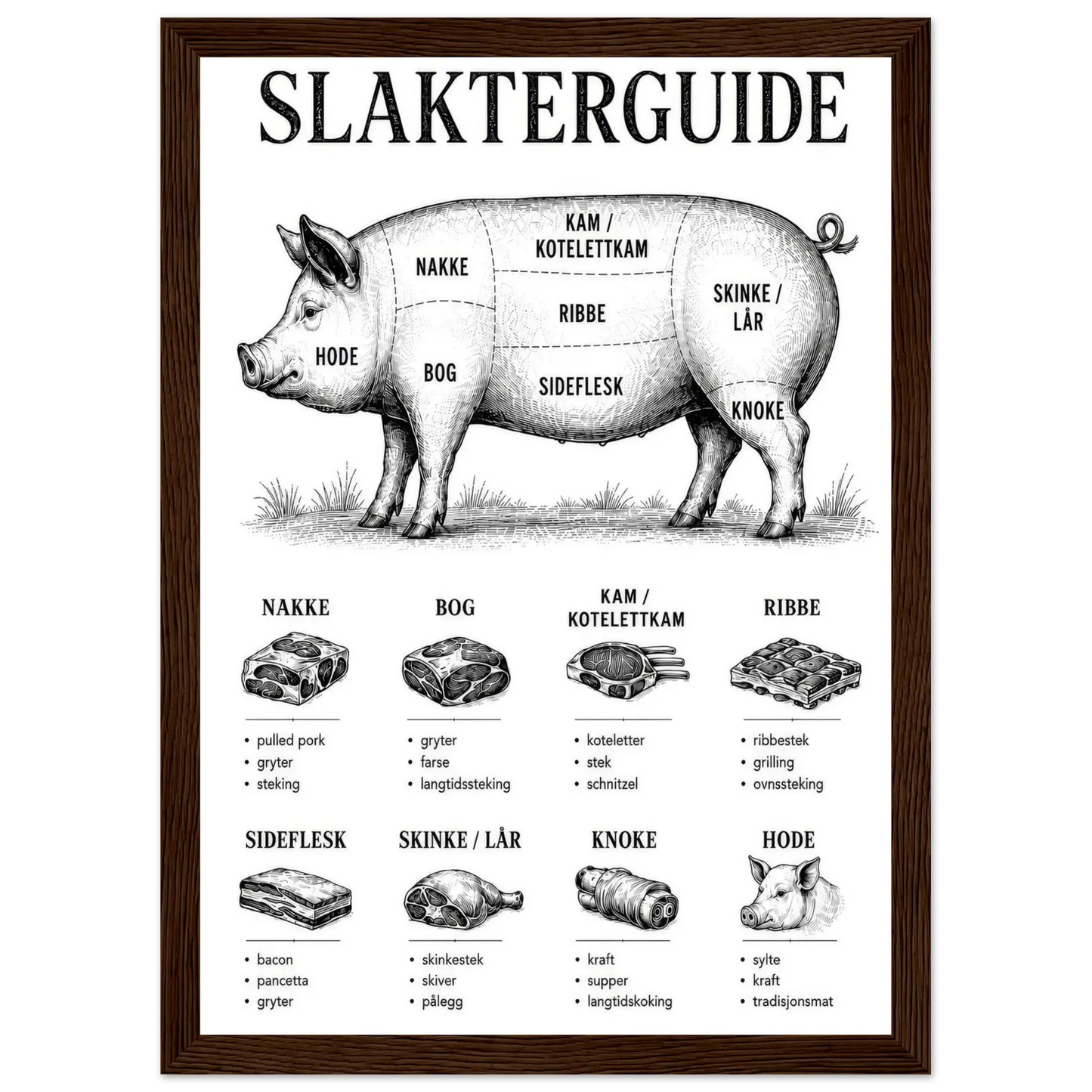 Slakterguide plakat med svin illustrasjon og detaljer om kjøttutskjæringer for kjøkkenet.