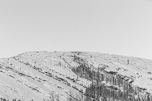 Snølinjer