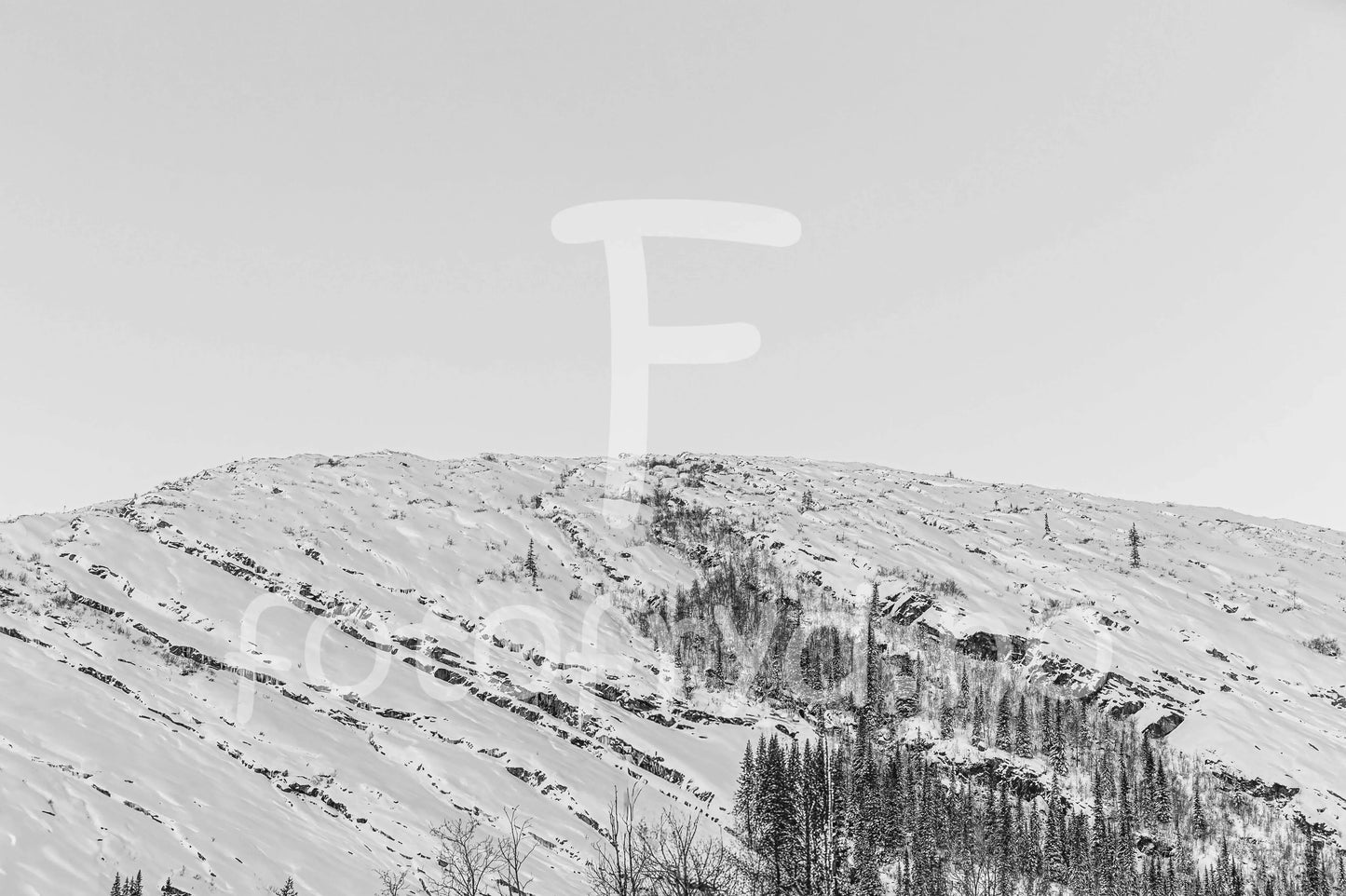 Snølinjer – Sort-hvitt panoramabilde fra vinterfjellet