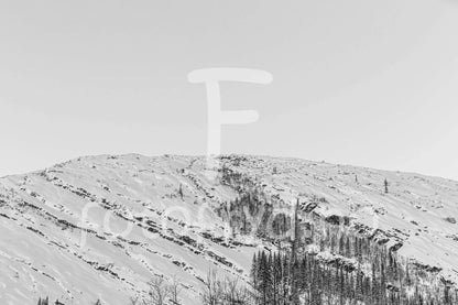 Snølinjer – Sort-hvitt panoramabilde fra vinterfjellet