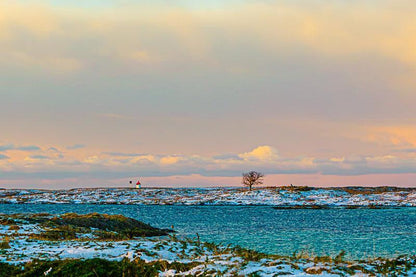 Stille kystlandskap i vinterlys  nordisk ro ved havet