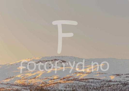 Stormyrbassenget i kveldssol – Helgeland