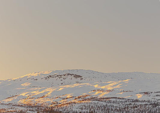 Stormyrbassenget i kveldssol – Helgeland
