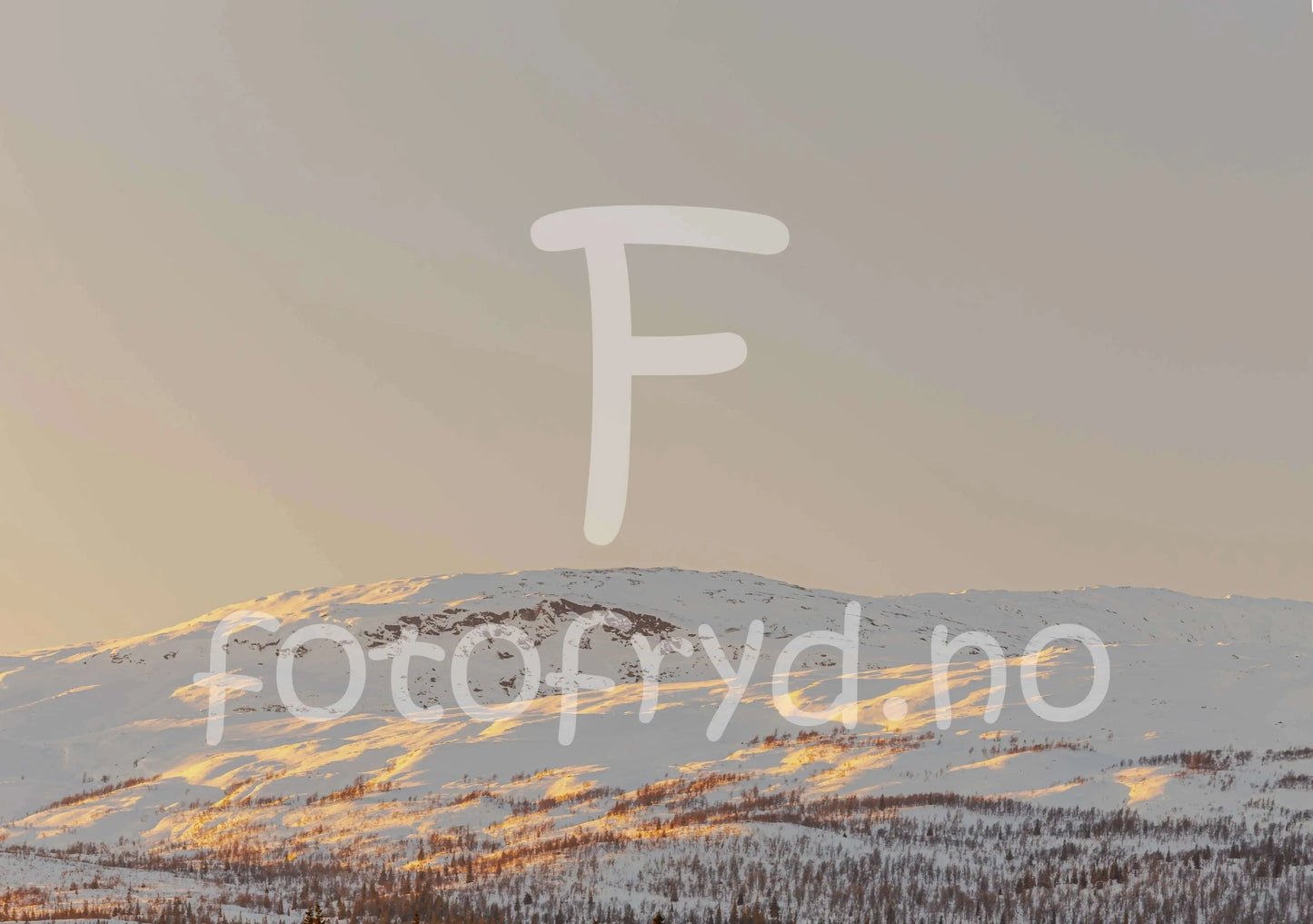 Stormyrbassenget i kveldssol – Helgeland